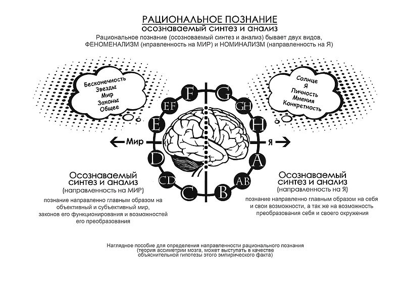 Файл:Рациональность.jpg