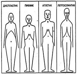Конституциональные типы
